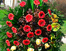 Kwiaciarnia Świat Kwiatów - galeria